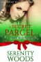 [Three Wise Men 03] • A Secret Parcel